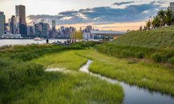 Joburi de viitor: (54) Lucrător integrat în restaurarea ecologiei