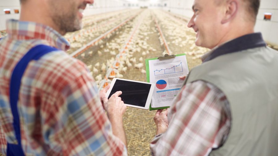 Joburi de viitor: (85) Data Farmer