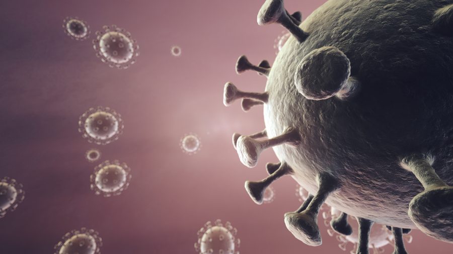 OMS crede că a identificat originea COVID-19. Cum a ajuns virusul la om