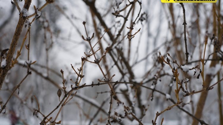 Schimbare bruscă a vremii! Aerul arctic aduce minime de până la -22°C