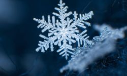 Să cadă fulgi din nou! Meteorologii anunță ninsori