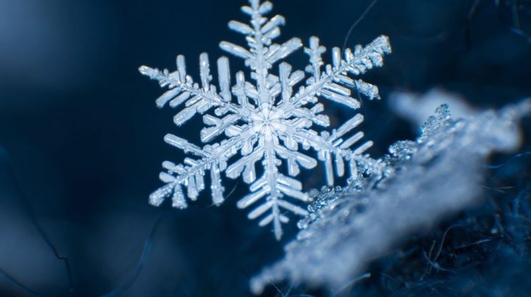 Să cadă fulgi din nou! Meteorologii anunță ninsori