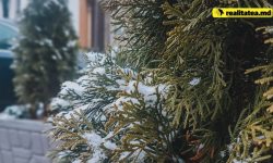 Temperaturi pozitive la orizont! Află cum va fi vremea în următoarele zile