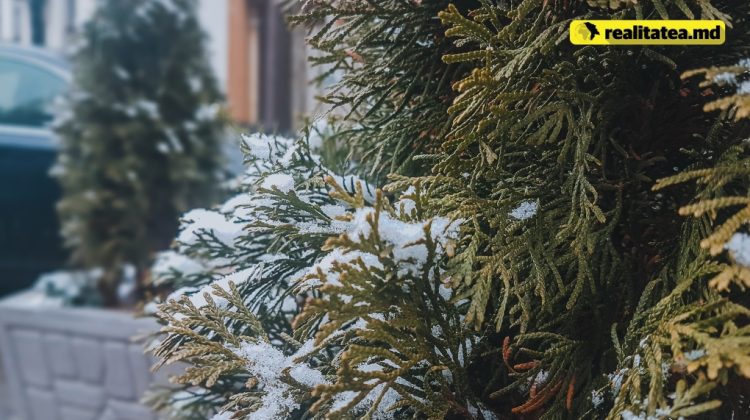 Temperaturi pozitive la orizont! Află cum va fi vremea în următoarele zile