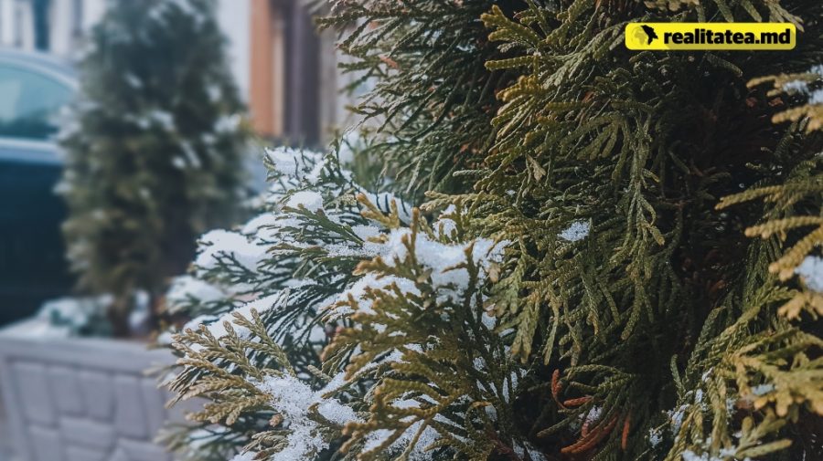 Temperaturi pozitive la orizont! Află cum va fi vremea în următoarele zile