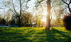 (VIDEO) NO COMMENT! La Chișinău începe curățenia generală de primăvară