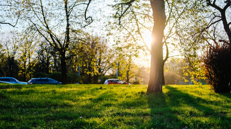 (VIDEO) NO COMMENT! La Chișinău începe curățenia generală de primăvară