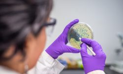 Joburi de viitor: (73) Terraforming Microbiologist