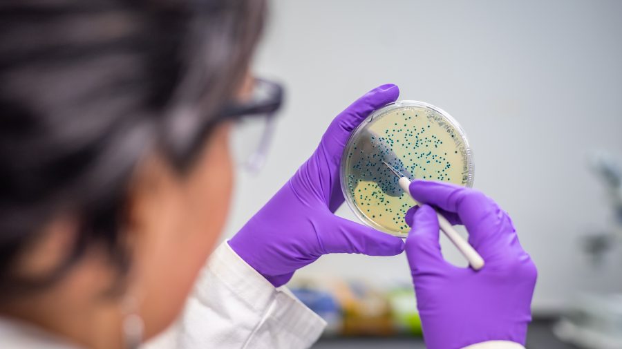 Joburi de viitor: (73) Terraforming Microbiologist