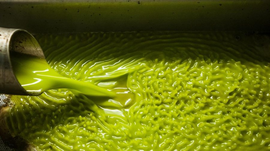 Țara care transformă măslinele în combustibil pentru a încălzi casele! Este mult mai accesibil și ecologic