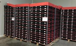 ATENȚIE la ce cumpărați! Au fost depistate rodii cu cantități depășite de „Acetamiprid”. Țara de proveniență – Turcia