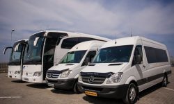 Perioadă neagră pentru transportatori. Pandemia i-a ruinat