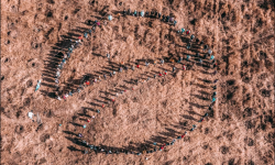 (VIDEO) Echipa maib a sădit o pădure de circa 2 hectare în forma logoului băncii