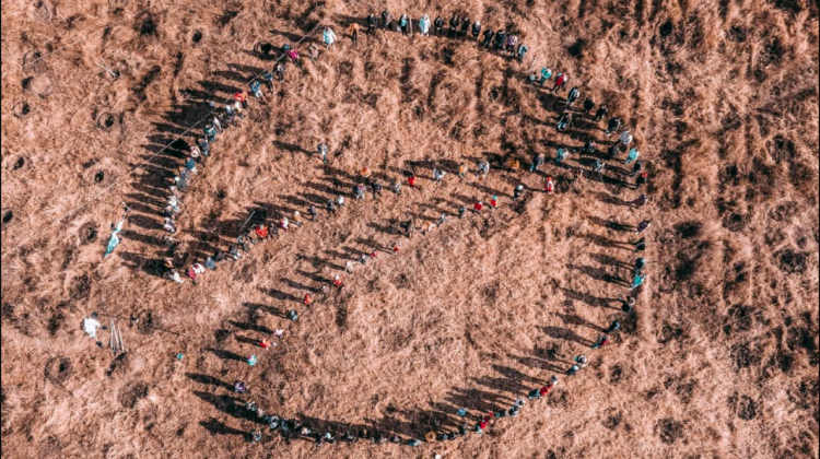 (VIDEO) Echipa maib a sădit o pădure de circa 2 hectare în forma logoului băncii