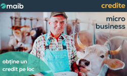 Creditul microbusiness – o nouă posibilitate de dezvoltare a afacerii de la maib