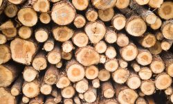 ALARMANT! Europenii bogaţi şi săraci încep să-şi facă rezerve de lemne de foc şi cărbune de teama scumpirii energiei