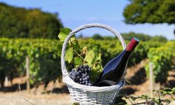 Turismul moldovenesc „îngropat” de criza războiului. Agențiile de turism fug de organizarea excursiilor în regiune