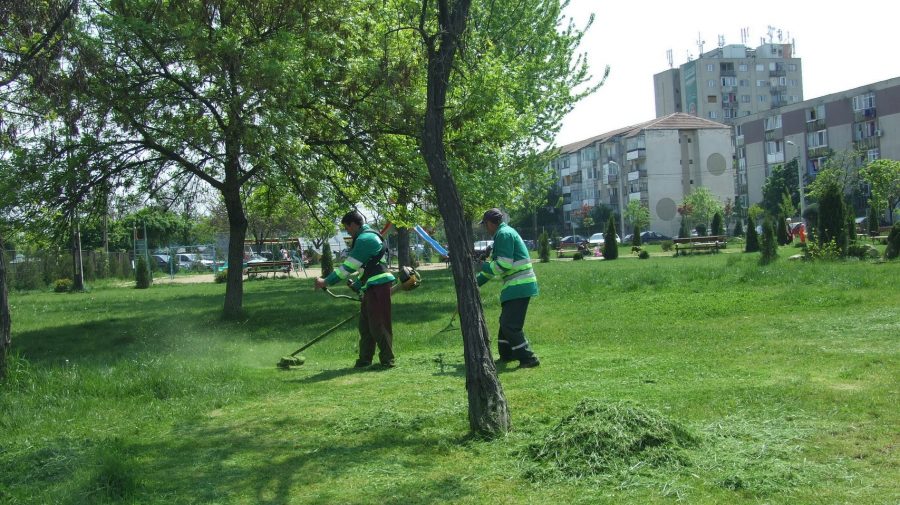 Fără construcții capitale în zonele spațiilor verzi! Un proiect de lege va fi examinat în prima lectură de Parlament