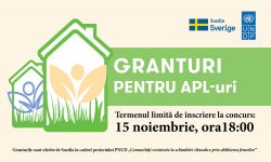 Granturi pentru APL-uri și femei antreprenoare! Participă la concurs și câștigă premii până la 18.000 dolari