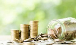 Bugetul asigurărilor sociale, votat. Pentru ce vor fi alocați banii