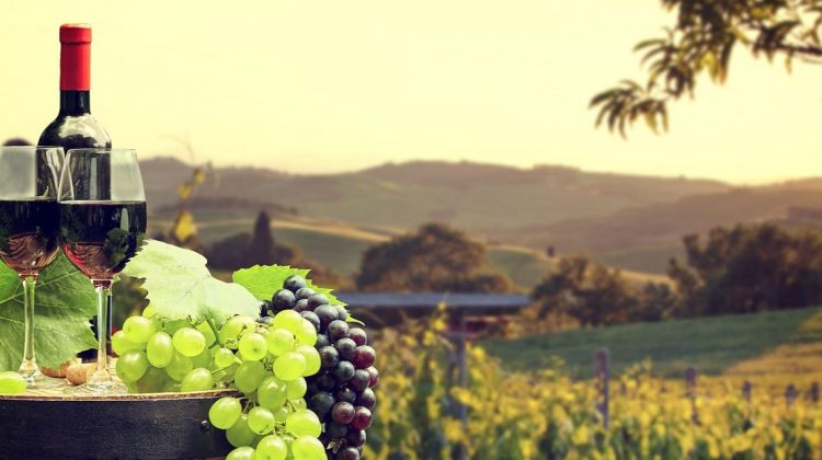 Două vinării de stat din Moldova își unesc eforturile pentru a depăși criza perioadei pandemice. Ce și-au propus