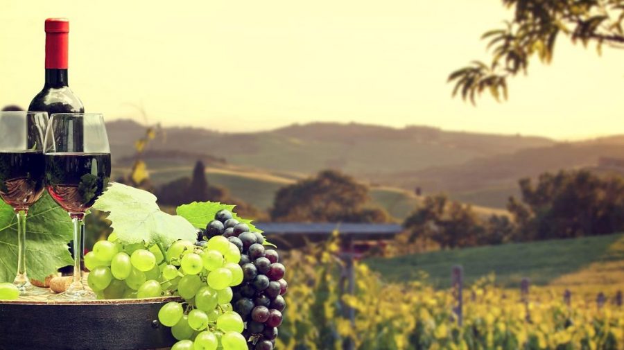 Două vinării de stat din Moldova își unesc eforturile pentru a depăși criza perioadei pandemice. Ce și-au propus