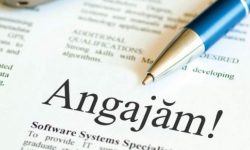 Criză de forță de muncă! Aproape 40% din locurile de muncă vacante sunt la stat