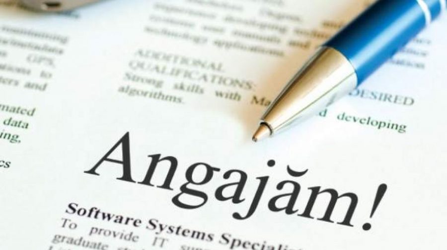 Criză de forță de muncă! Aproape 40% din locurile de muncă vacante sunt la stat