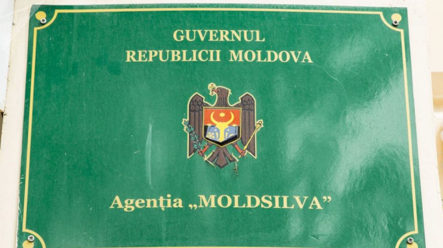 Agenția „Moldsilva” și Inspectoratul pentru Protecția Mediului s-au ales cu șefi noi. CINE sunt?