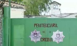 (FOTO) Alcool, substanță interzisă, etc! Percheziții inopinate soldate în penitenciarele nr.9 Pruncul și nr.15 Cricova