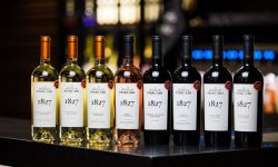 Vinificatorul moldovean Purcari Wineries finalizează achiziţia a 76% din acţiunile cramei Angel’s Estate din Bulgaria