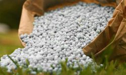 India a oprit comerțul global cu îngrășăminte! Moldova rămâne cu depozitele pe jumătate goale