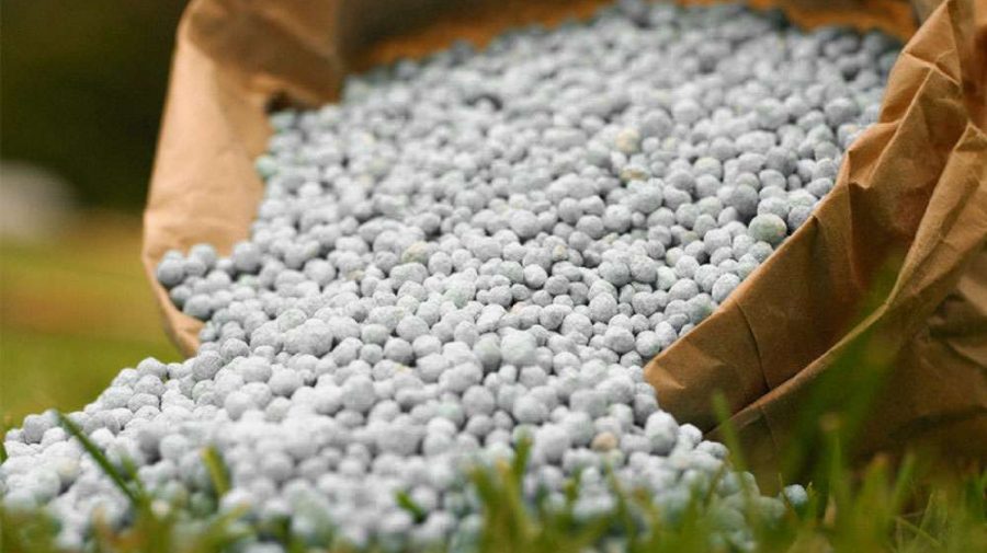 India a oprit comerțul global cu îngrășăminte! Moldova rămâne cu depozitele pe jumătate goale