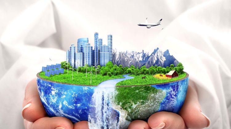 Platforma românească ce ușurează procesul de reciclare a deșeurilor și ajută planeta să respire. Idee pentru Moldova