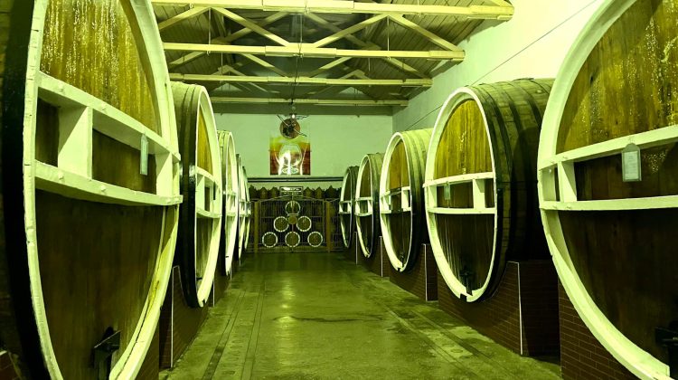 Cu un profit infim șeful APP vrea să „aterizeze” Barza Albă în top