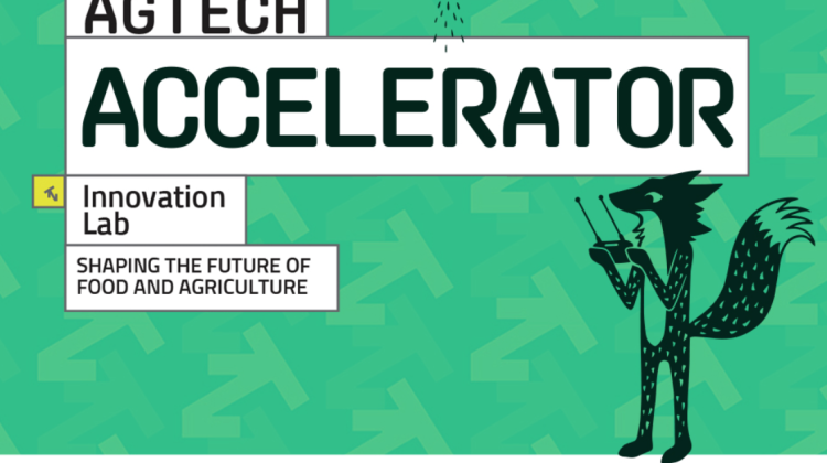 Oportunitate pentru startup-urile din agricultură. Se organizează primul accelerator AGTECH, cum să te înregistrezi