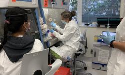 OMICRON: A apărut o versiune „invizibilă”. Nu poate fi distinsă de alte variante cu ajutorul testelor RT-PCR