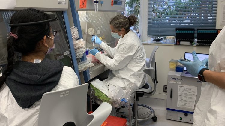 OMICRON: A apărut o versiune „invizibilă”. Nu poate fi distinsă de alte variante cu ajutorul testelor RT-PCR