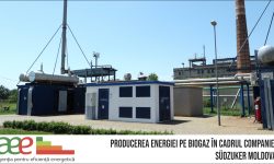 (VIDEO) O companie din Moldova produce energie pe biogaz. Sunt folosite deșeurile comprimate de sfeclă de zahăr