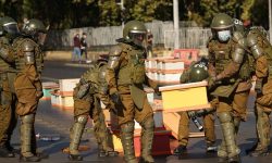 (VIDEO) Apicultorii din Chile au venit cu stupii la protest. Momentul în care polițiștii sunt înțepați de albine