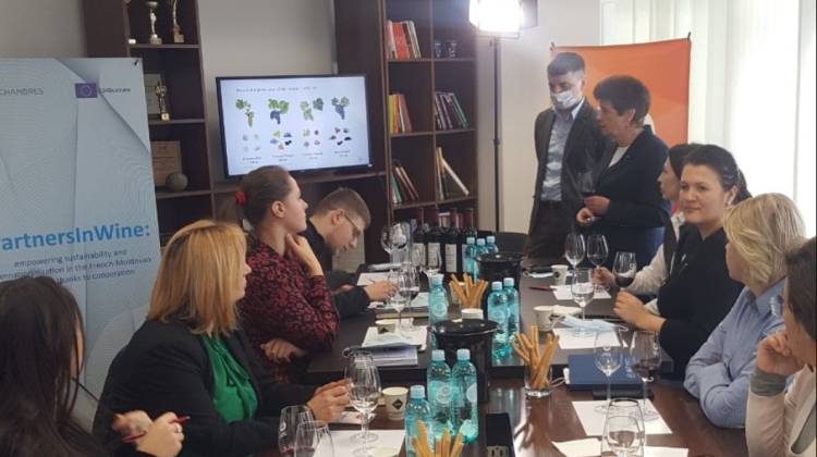 ONVV găzduiește prima vizită de studiu din Franța în Moldova. Schimb de experiență și cunoștințe între beneficiari