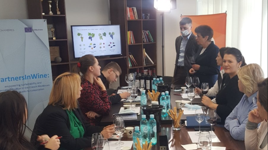 ONVV găzduiește prima vizită de studiu din Franța în Moldova. Schimb de experiență și cunoștințe între beneficiari