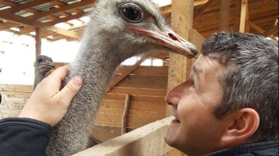 Au investit banii de la nuntă într-o afacere cu struți africani. „Am început cu 5.000 de euro”