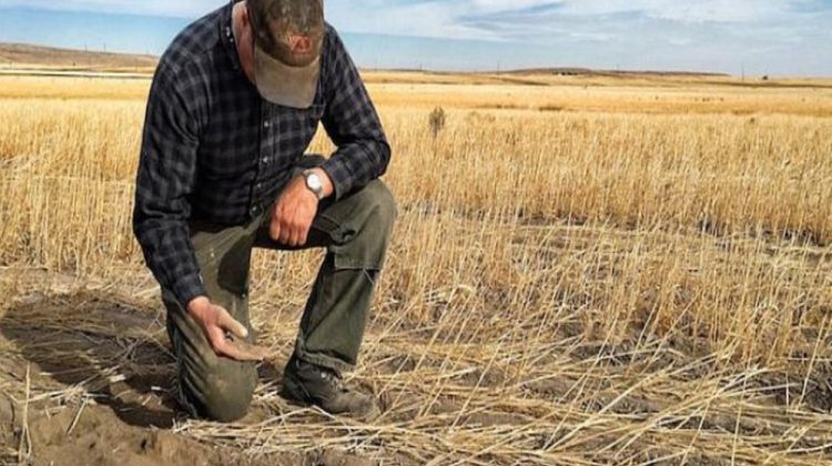 Fermierii moldoveni, cu mâna întinsă după bani. AIPA se laudă că a început achitările pentru anul 2021