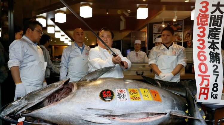 Un bărbat a plătit 129.000 de euro pentru un ton. Cine urmează să guste din peștele care a costat o avere