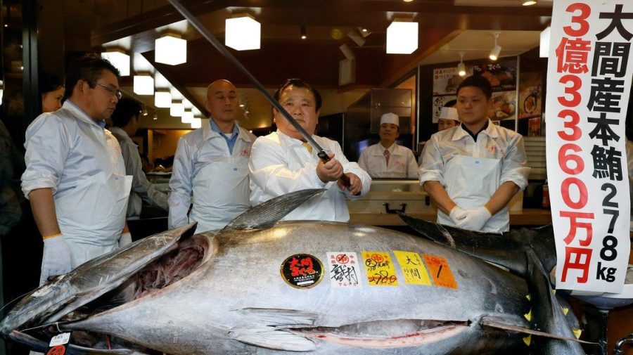 Un bărbat a plătit 129.000 de euro pentru un ton. Cine urmează să guste din peștele care a costat o avere