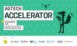 Primul Accelerator AgTech va avea loc în perioada 17 ianuarie – 30 aprilie 2022. Cine poate participa
