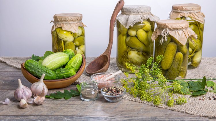 India – cel mai mare exportator de castraveți din lume. A adunat milioane de dolari