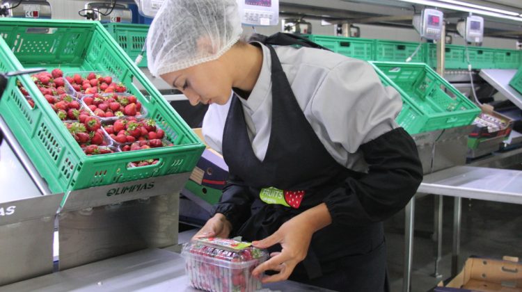 Românii care nu se vaccinează și-ar putea pierde dreptul de a munci în Germania