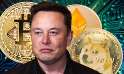 Elon Musk nu continuă să ne uimească! Tesla începe să accepte DOGECOIN, criptomoneda meme